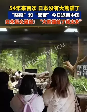 日本没有大熊猫